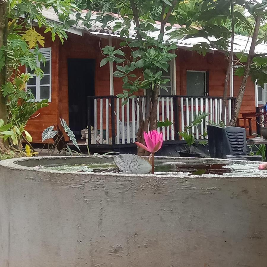 My House Ahangama Εξωτερικό φωτογραφία